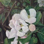 Jennifer Kwon, Apple Blossom, oil on canvas