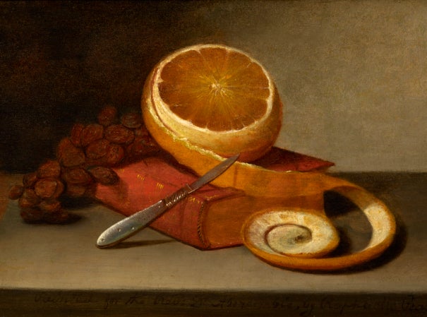 Two Centuries of American Still-Life Painting: The Frank and Michelle Hevrdejs Collection 8