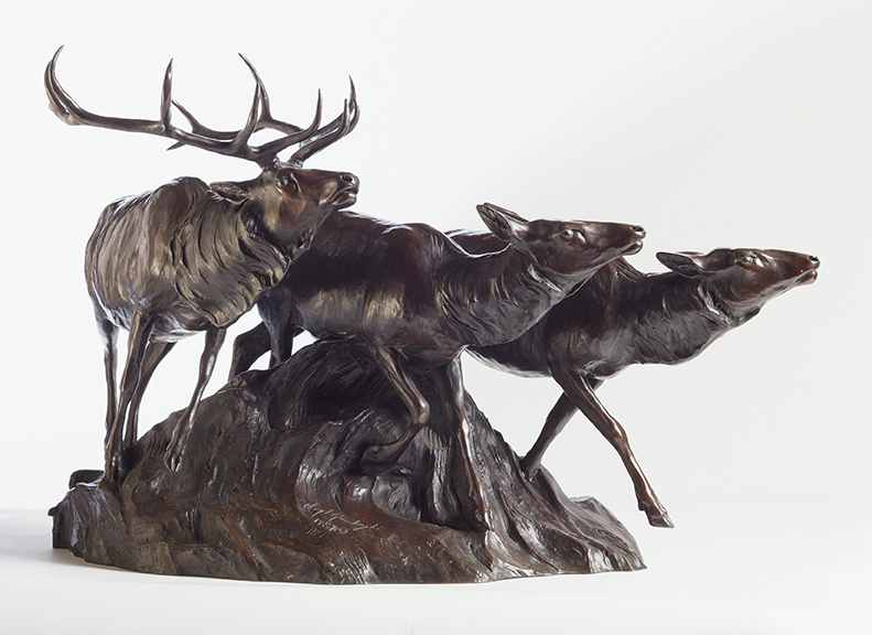 Animals: Wild and Captured in Bronze 3