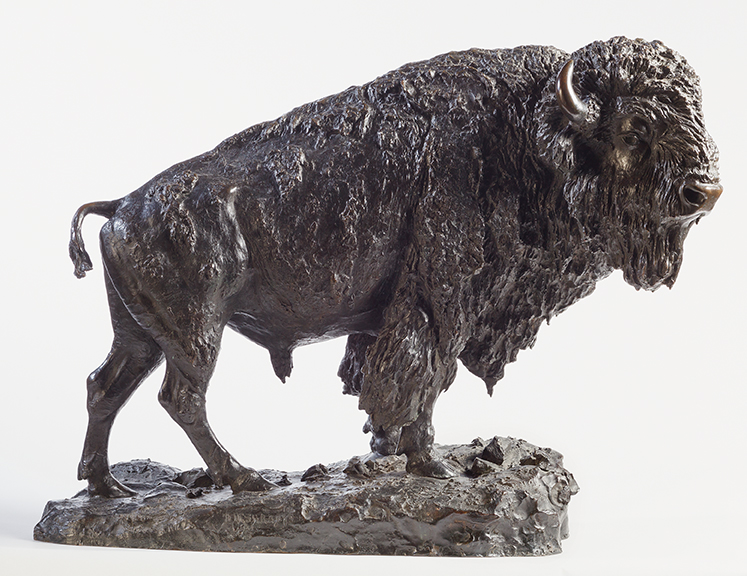 Animals: Wild and Captured in Bronze 1