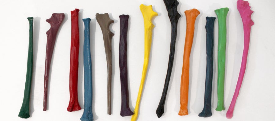 Crayons case in the shape of coyote bones by RYAN! Feddersen