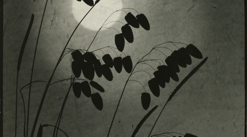 Black and white image of grasses silhouetted against the night sky and a full moon.