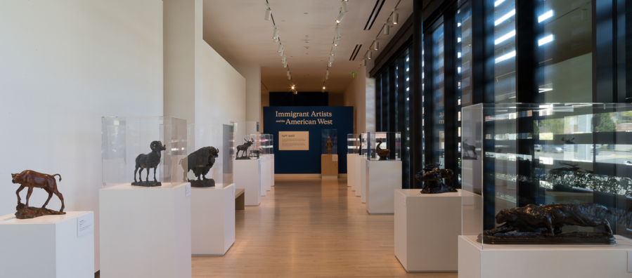 Long corridor shaped gallery with wooden floors and white walls. Pedestals punctuate the sides of the gallery holding bronze sculptures. A blue wall at the end of the gallery reads Immigrant Artists and the American West.