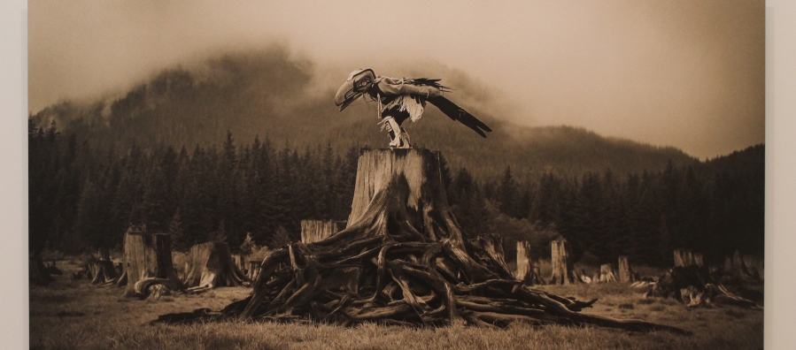 Photograph of "Raven Tells His Story in the Fog" by artist Zoë Marieh Urness.