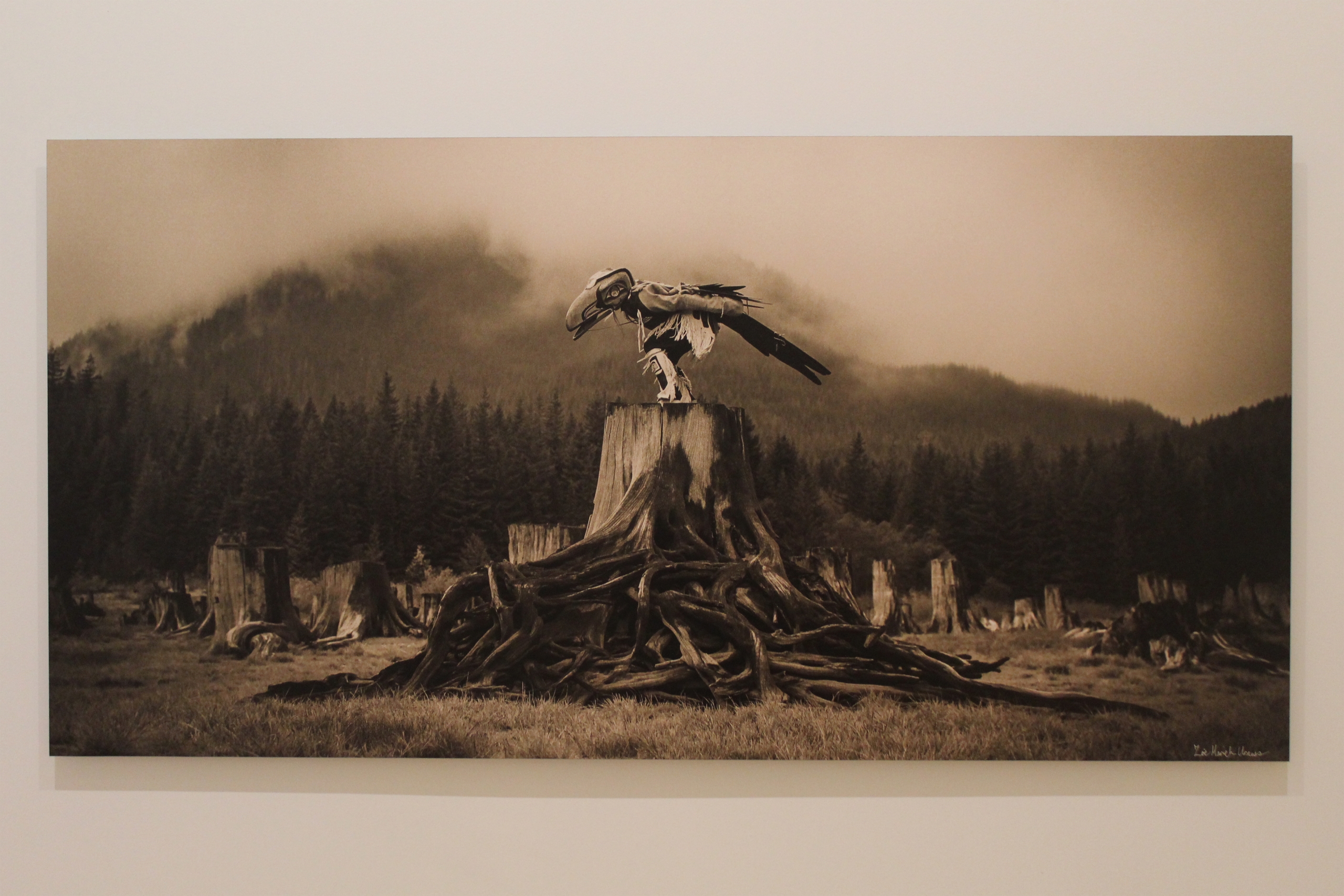 Recent Acquisitions - Zoë Urness "Raven Tells His Story in the Fog"