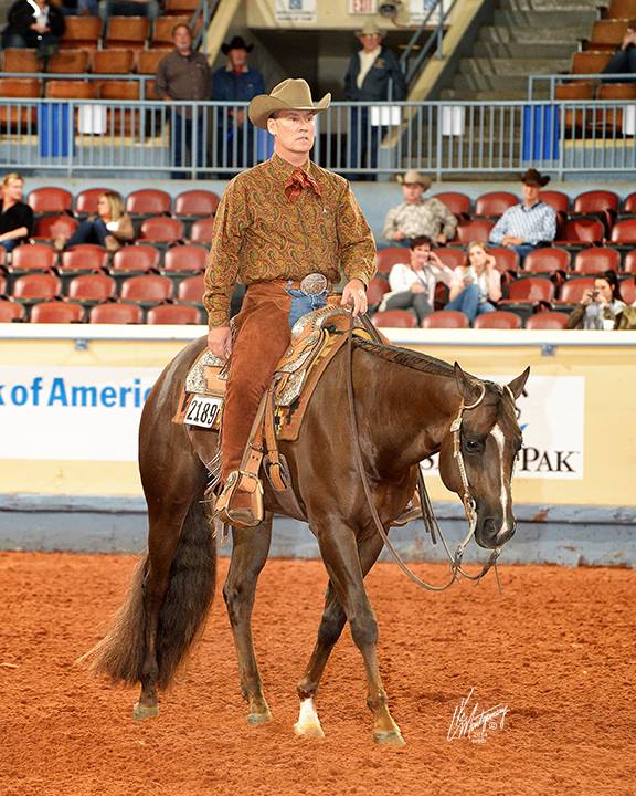 Photograph of incoming TAM board president Jeff Williams riding a horse