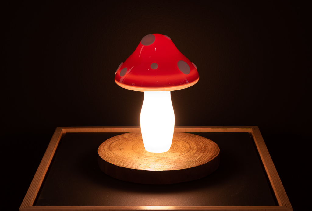 Color photo of "Mushroom to Glow" piece by artist Samantha Scalise.