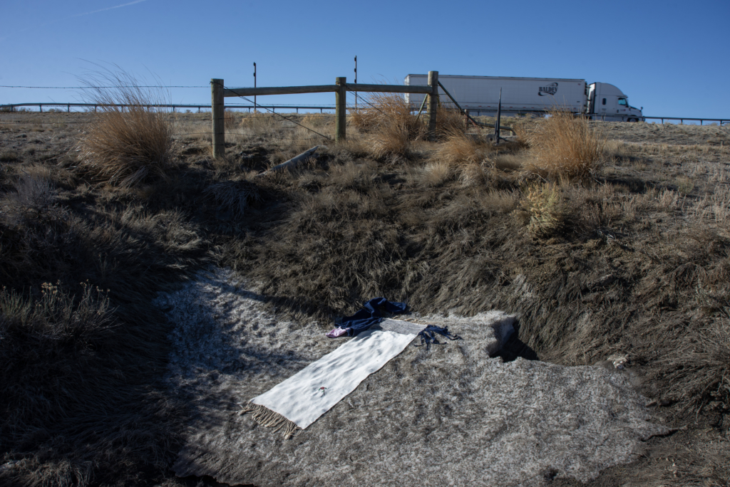 Lily Martina Lee artist talk on "The Great Basin Murders"