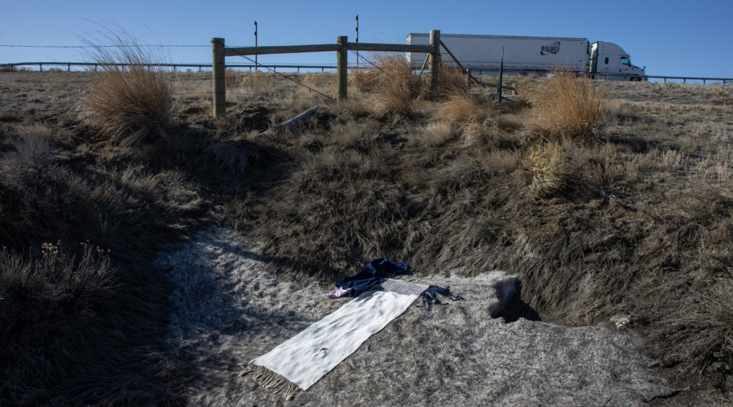 Lily Martina Lee artist talk on "The Great Basin Murders"